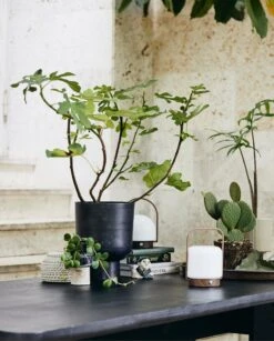 Nordal Troy Draagbare Lamp - 59081 9 Nordal Troy Draagbare Lamp - 59081 -Huisverlichting nordal troy draagbare lamp 59081 3